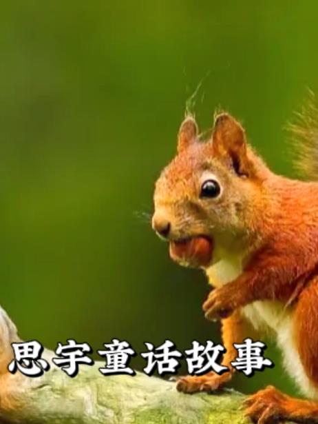 思宇童话故事思宇童话故事